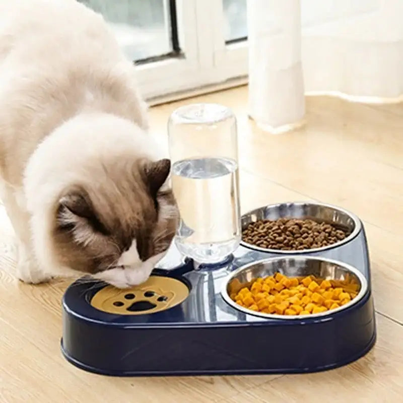 3-in-1 Pet Bowl with Auto Feeder